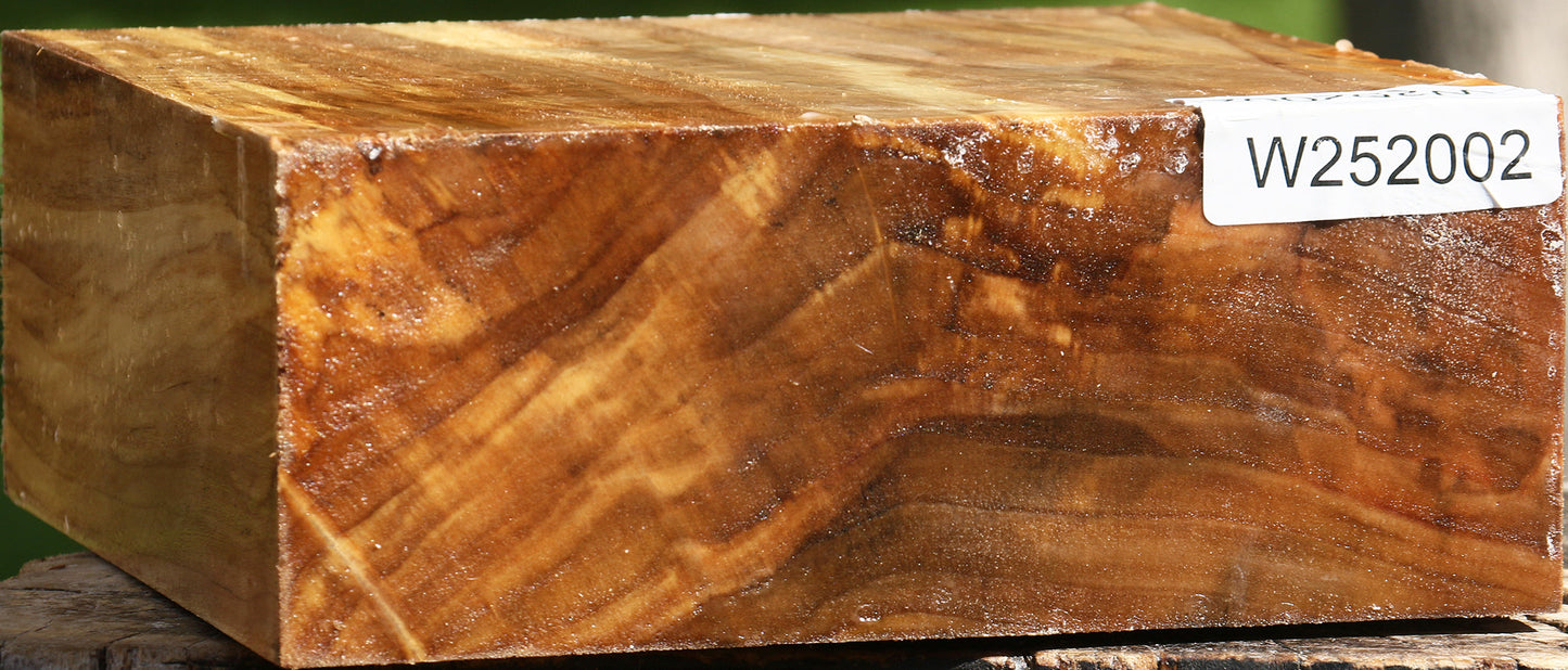California Cottonwood Bowl Blank