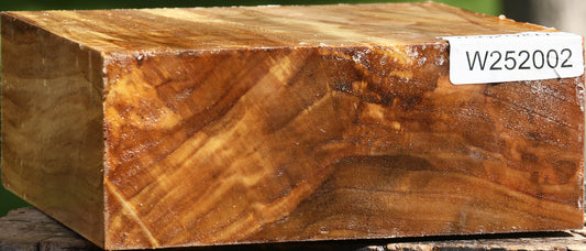 California Cottonwood Bowl Blank