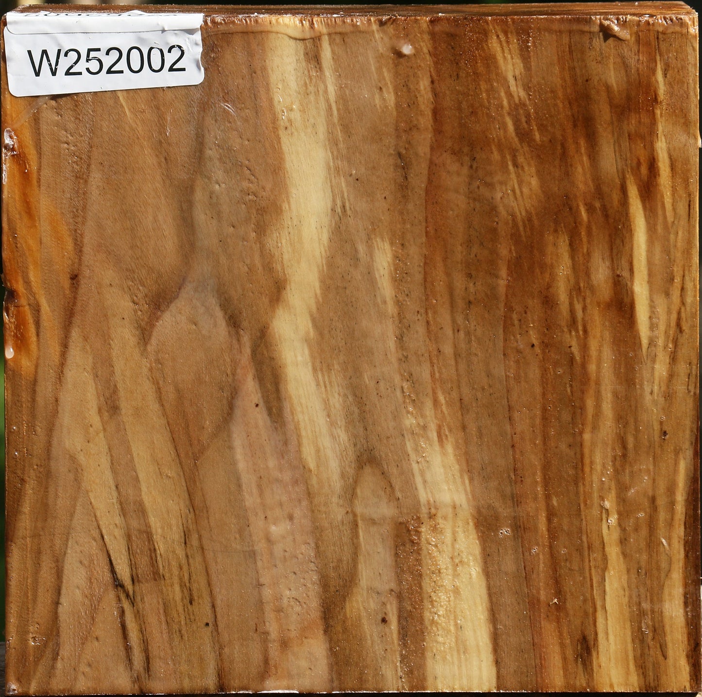 California Cottonwood Bowl Blank