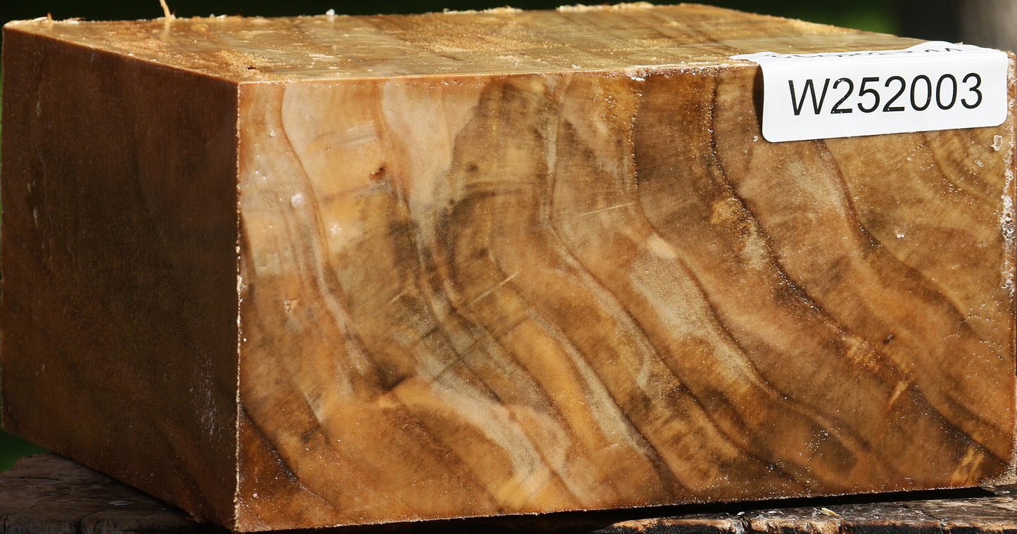 California Cottonwood Bowl Blank
