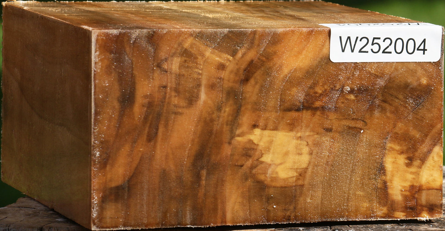 Figured California Cottonwood Bowl Blank