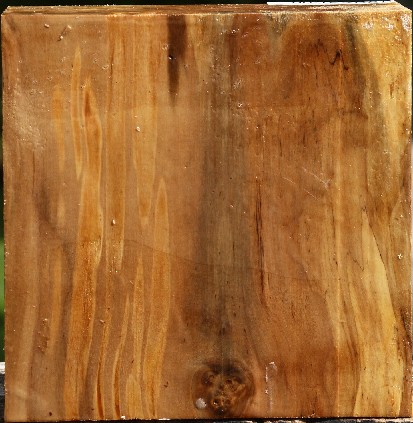 California Cottonwood Bowl Blank
