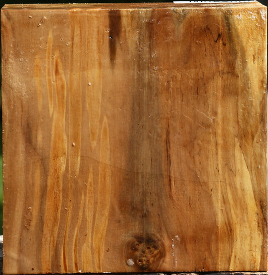 California Cottonwood Bowl Blank