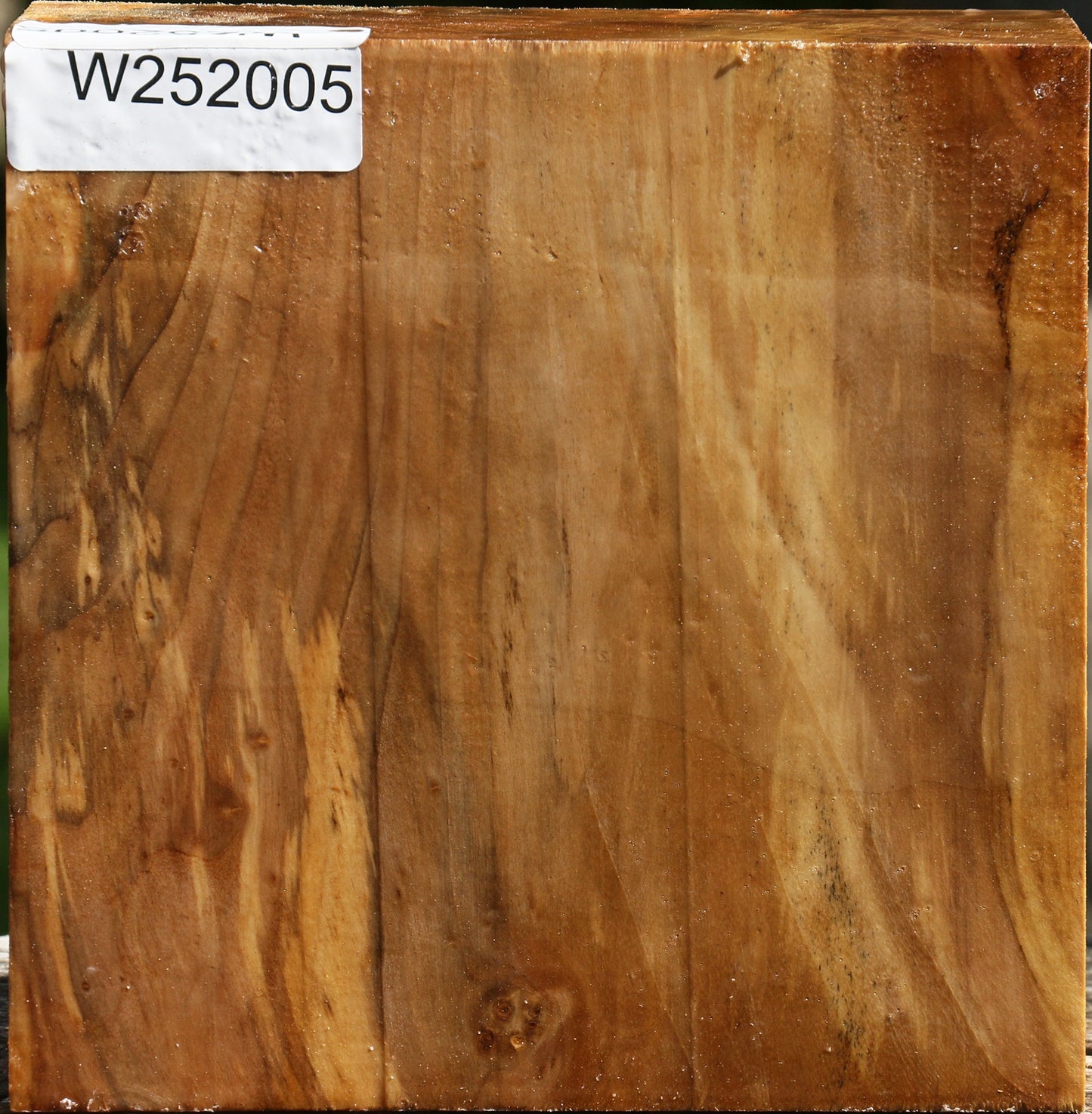 California Cottonwood Bowl Blank
