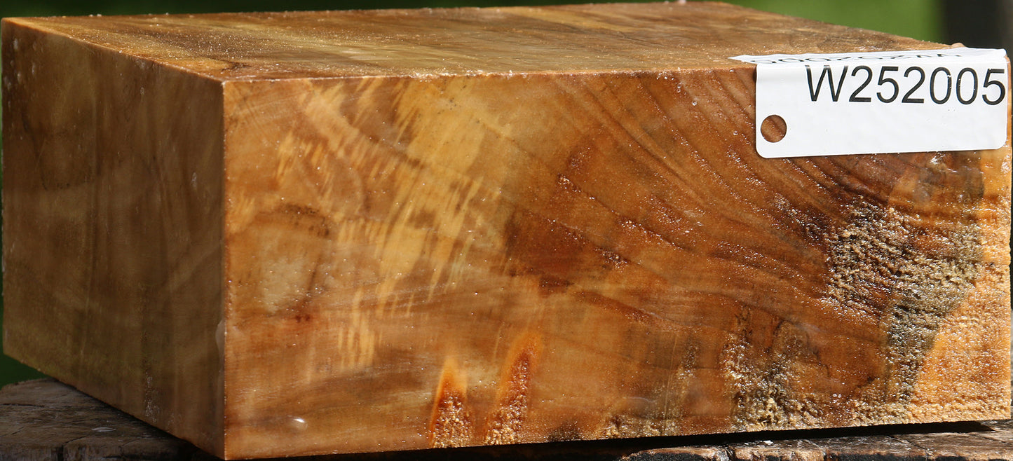 California Cottonwood Bowl Blank