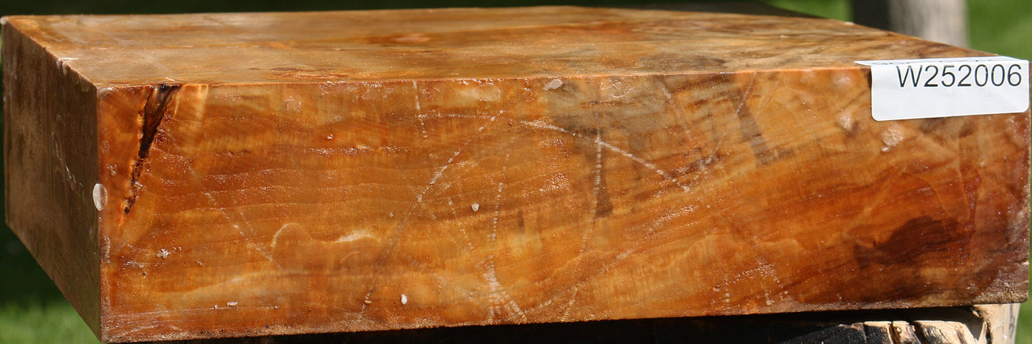 Figured California Cottonwood Bowl Blank