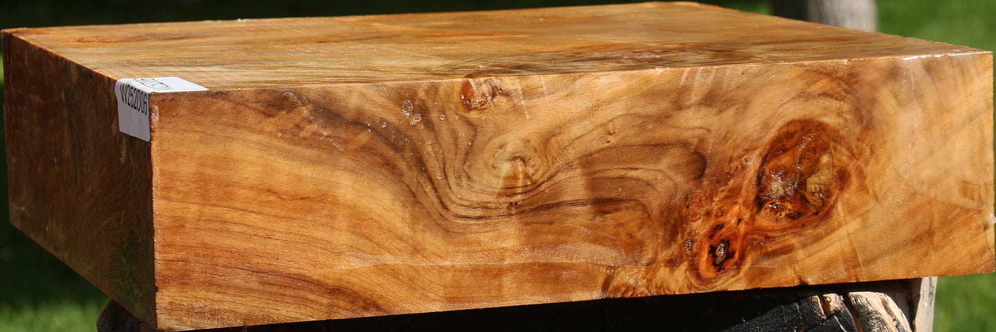 Figured California Cottonwood Bowl Blank