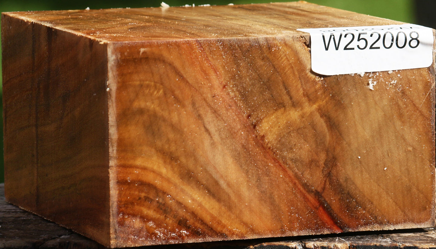Figured California Cottonwood Bowl Blank