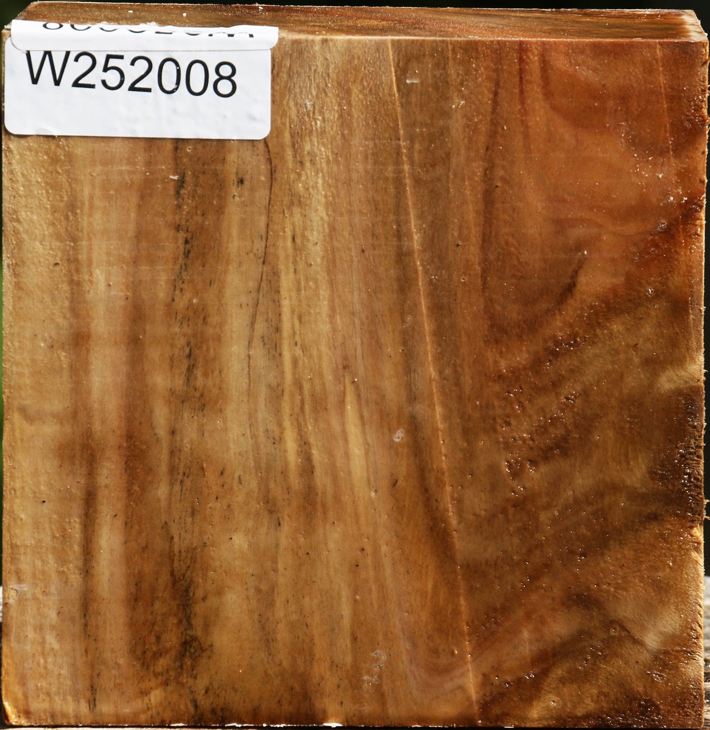 Figured California Cottonwood Bowl Blank