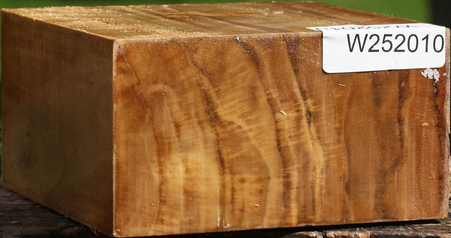 California Cottonwood Bowl Blank