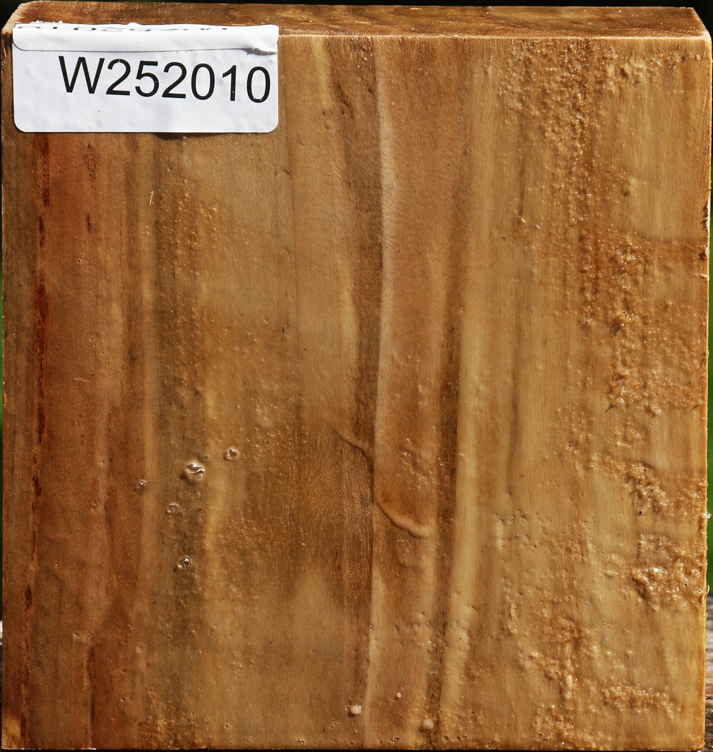 California Cottonwood Bowl Blank