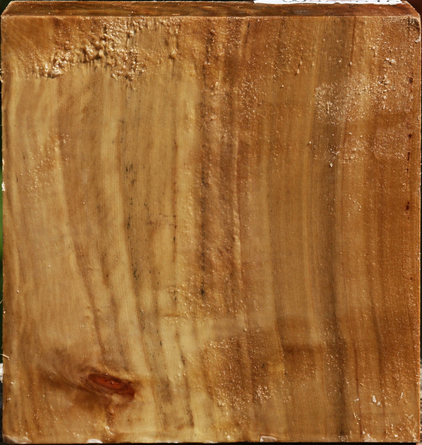 California Cottonwood Bowl Blank
