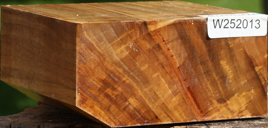California Cottonwood Bowl Blank