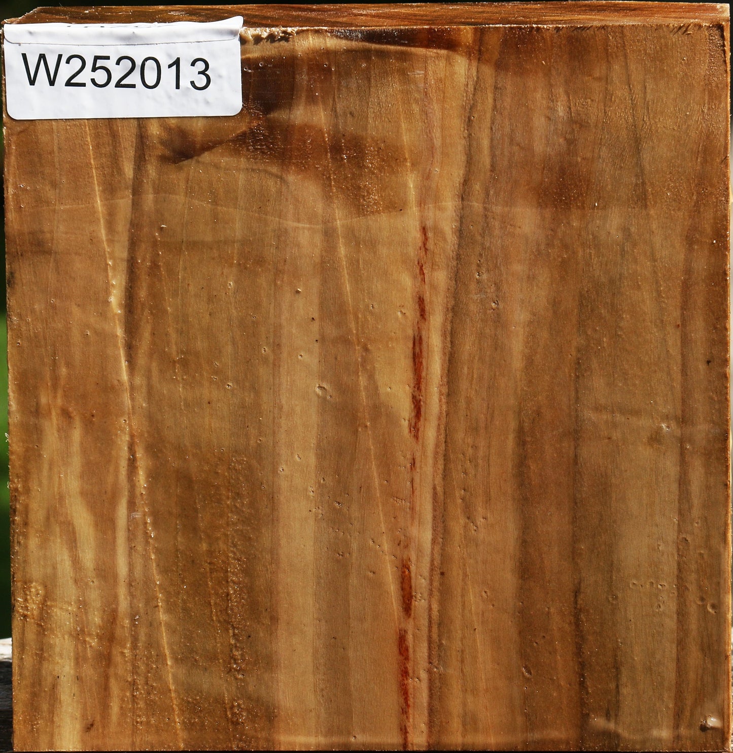 California Cottonwood Bowl Blank