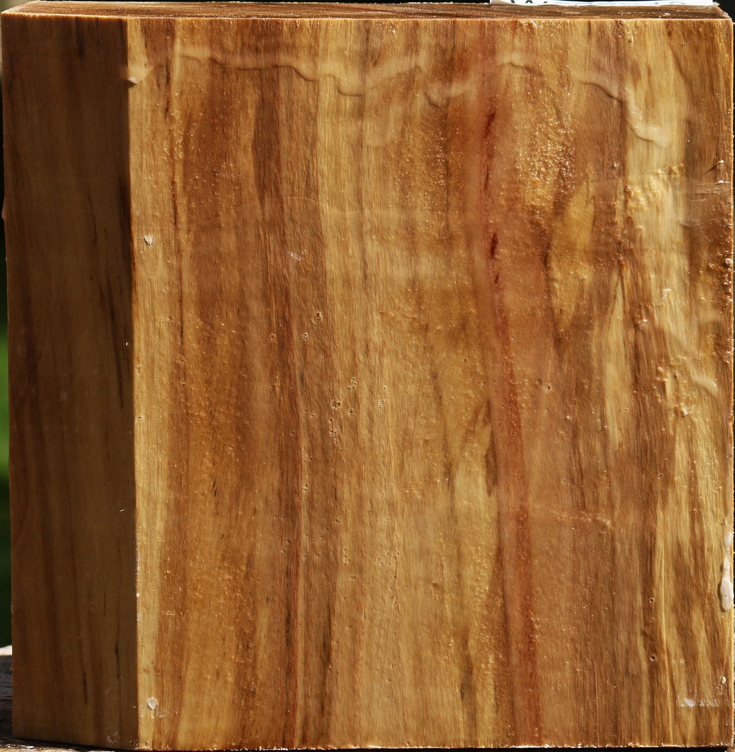 California Cottonwood Bowl Blank