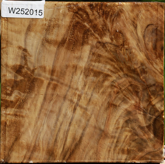 Extra Fancy California Cottonwood Bowl Blank