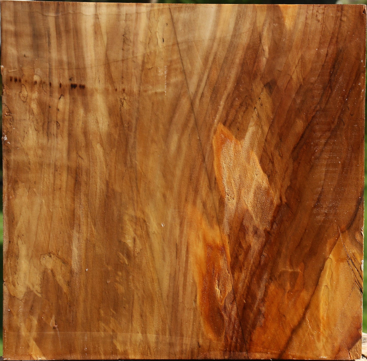 Extra Fancy California Cottonwood Bowl Blank
