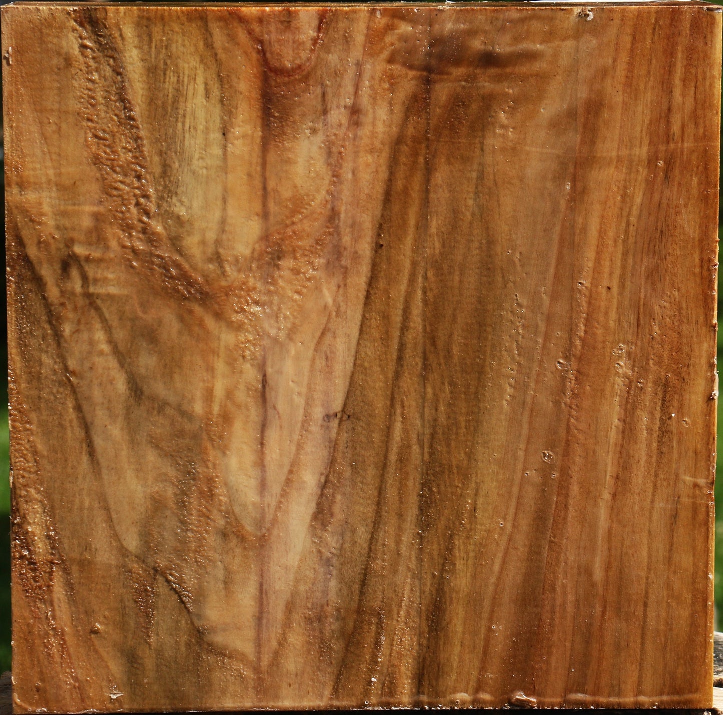 Figured California Cottonwood Bowl Blank