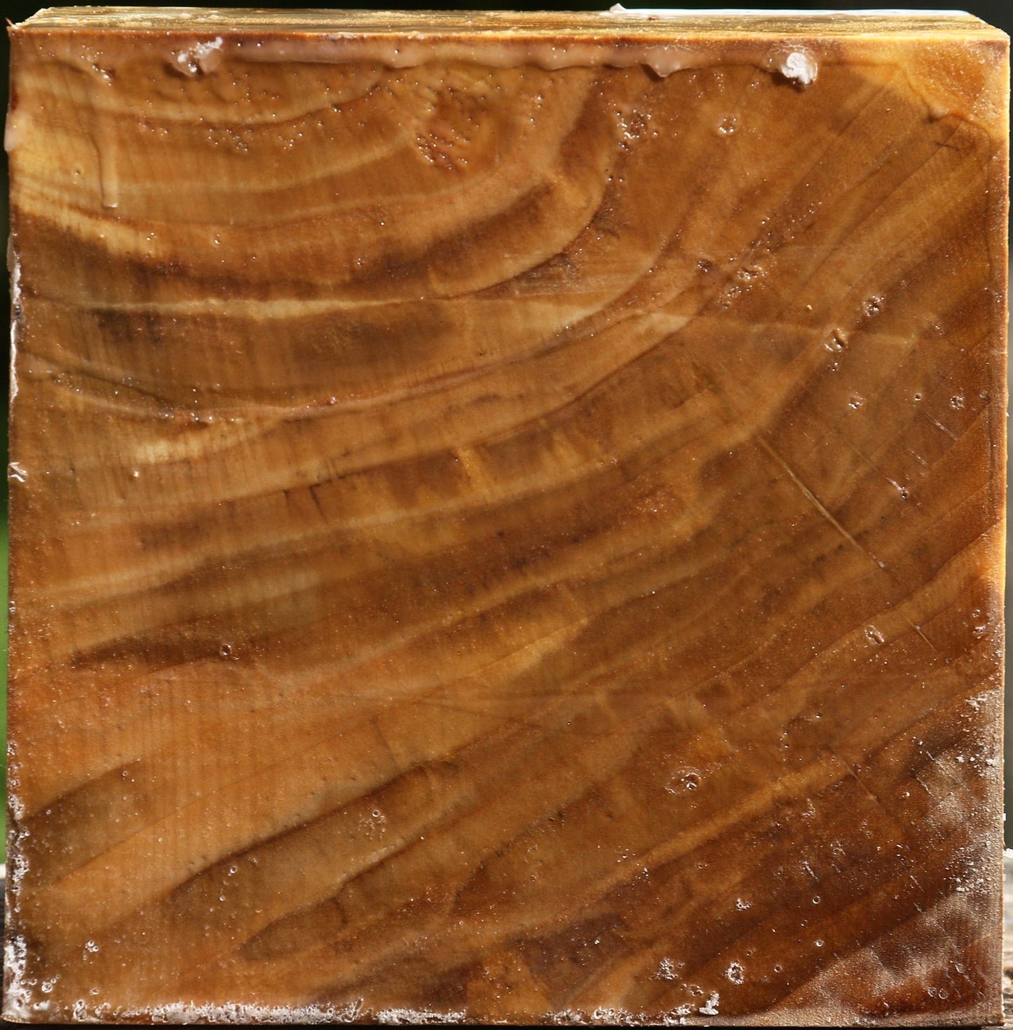 California Cottonwood Bowl Blank