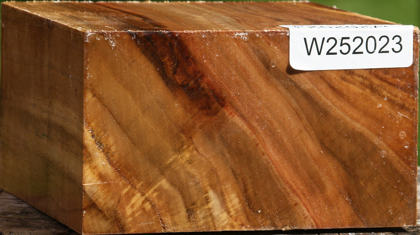 California Cottonwood Bowl Blank