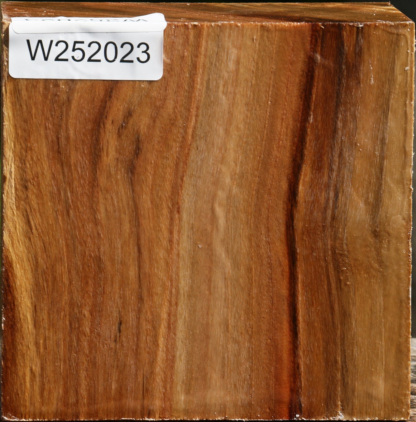California Cottonwood Bowl Blank