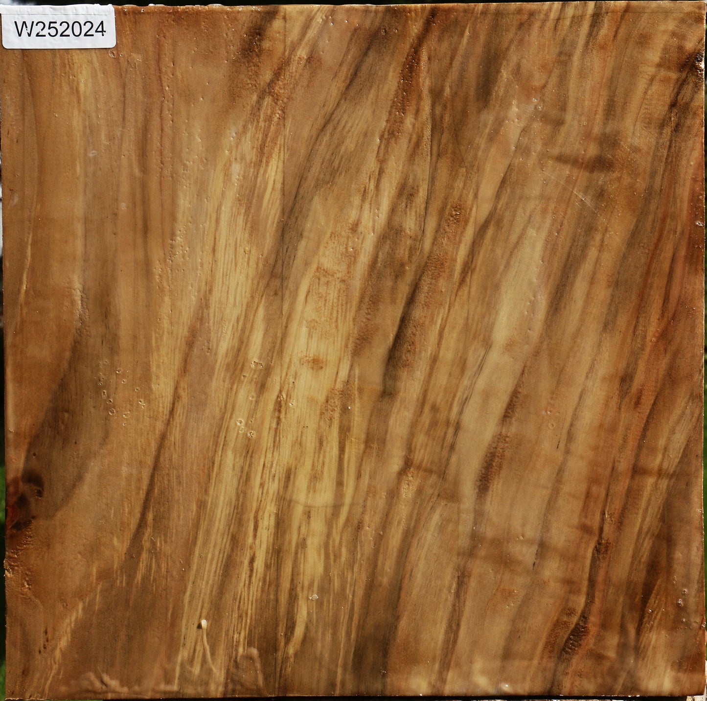 California Cottonwood Bowl Blank
