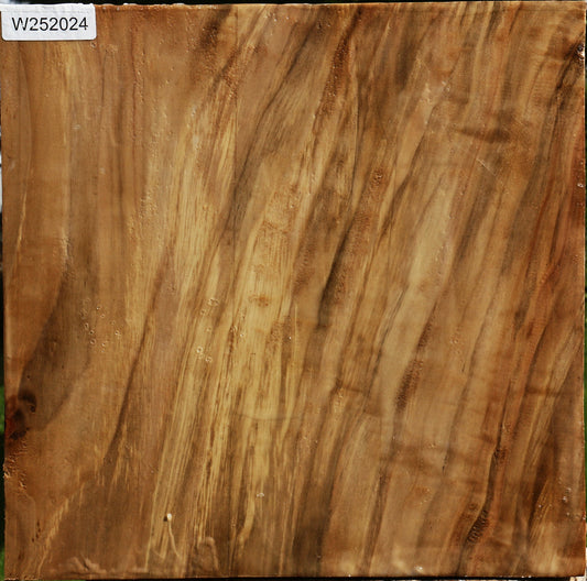 California Cottonwood Bowl Blank