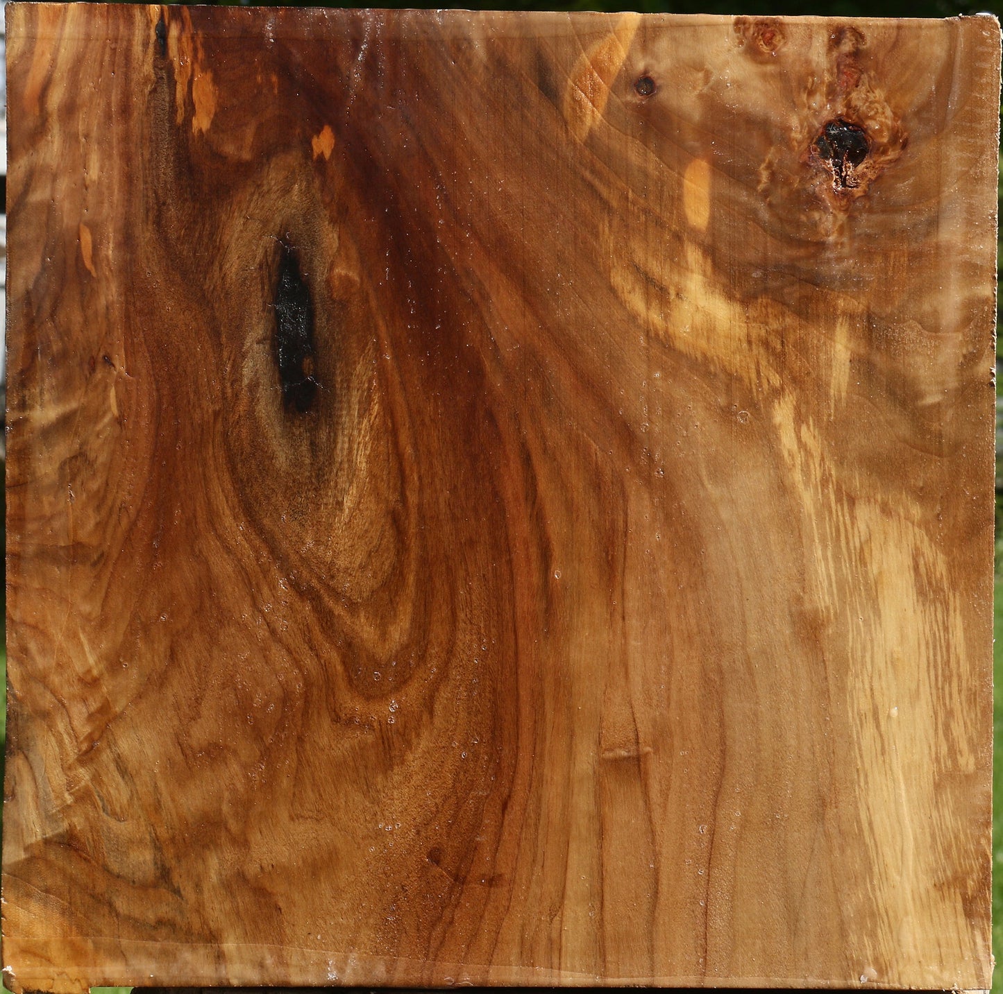 California Cottonwood Bowl Blank