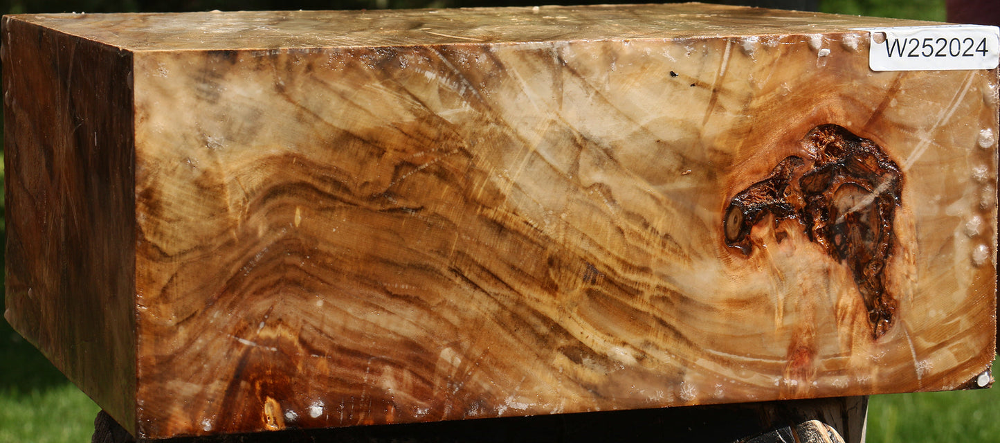 California Cottonwood Bowl Blank