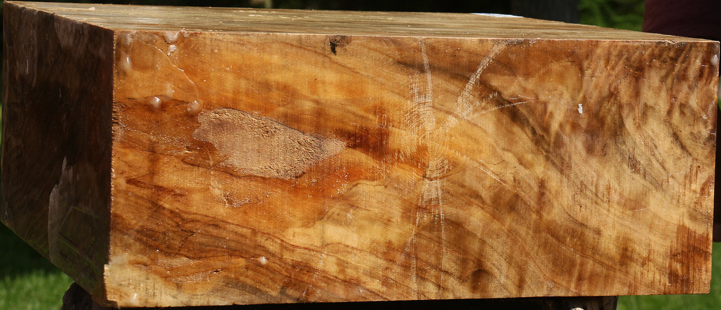 California Cottonwood Bowl Blank