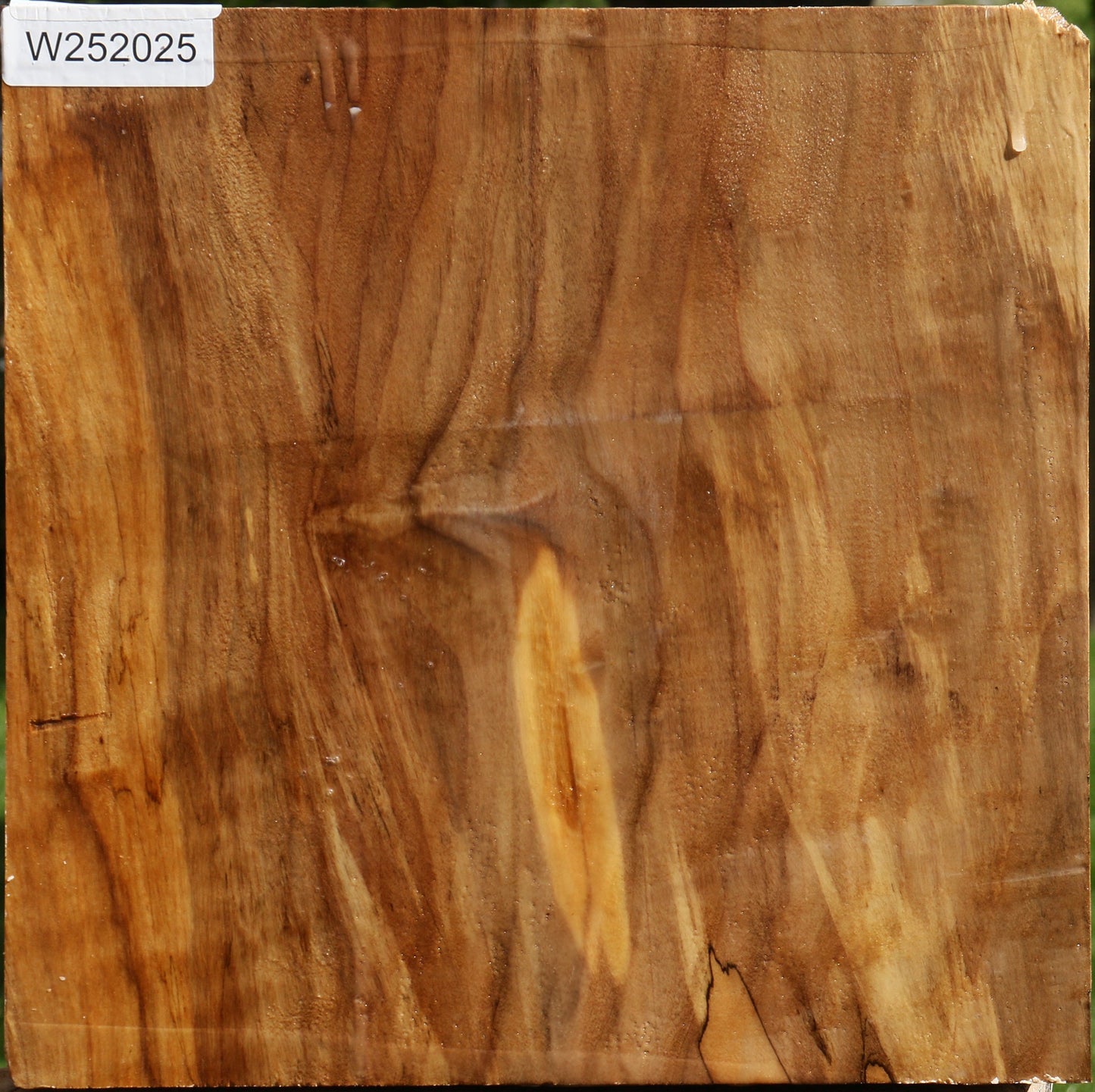 Figured California Cottonwood Bowl Blank