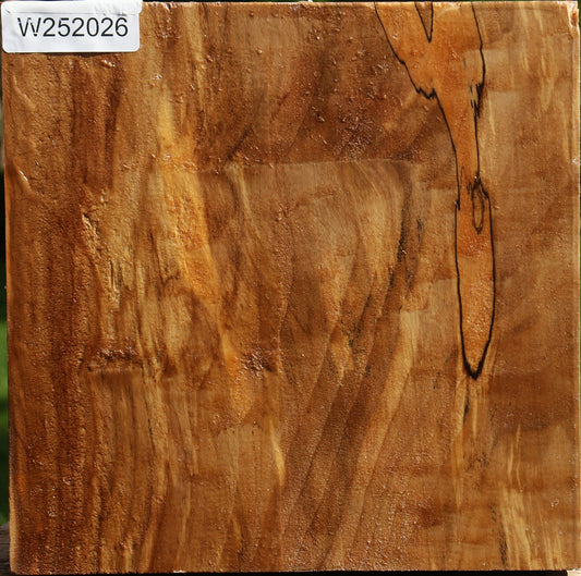 Figured California Cottonwood Bowl Blank