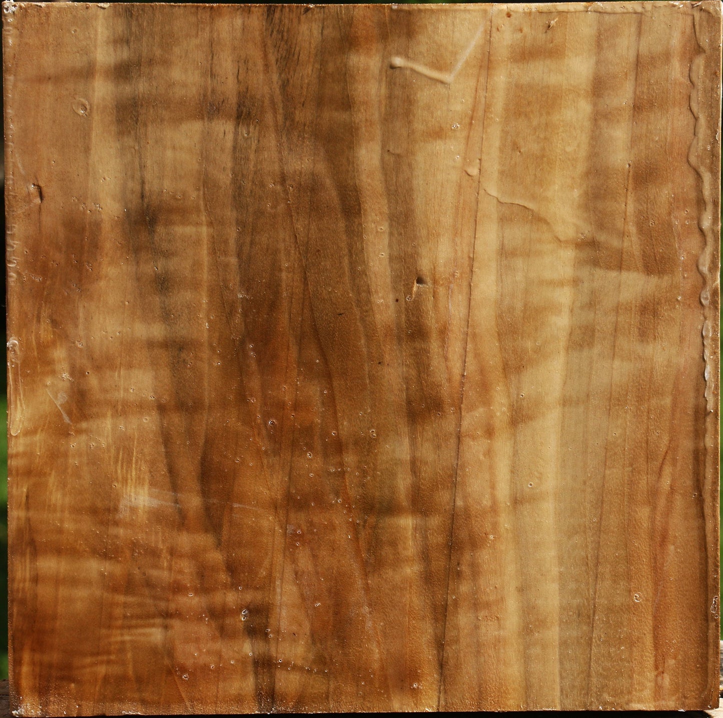Figured California Cottonwood Bowl Blank