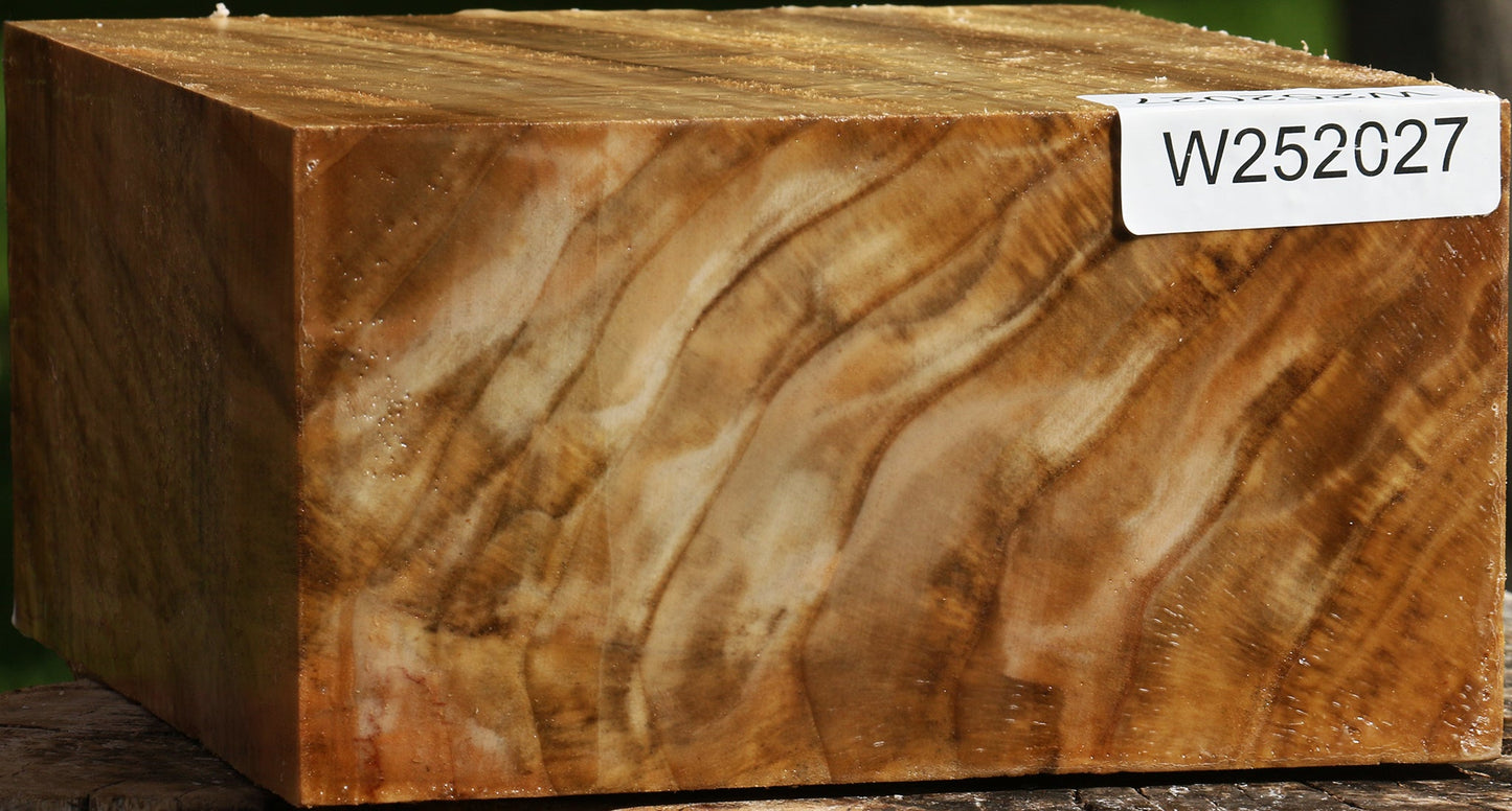 Figured California Cottonwood Bowl Blank