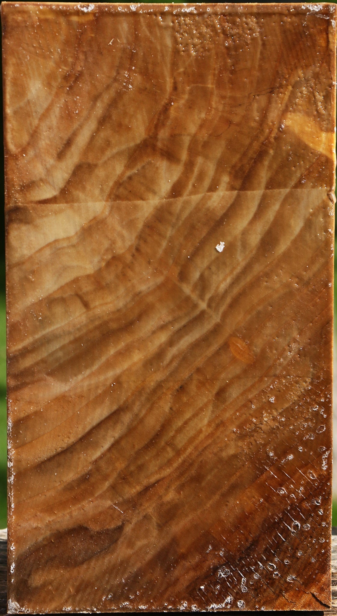 Figured California Cottonwood Vessel Blank