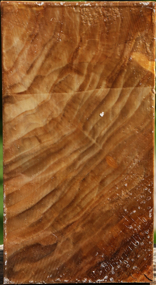 Figured California Cottonwood Vessel Blank