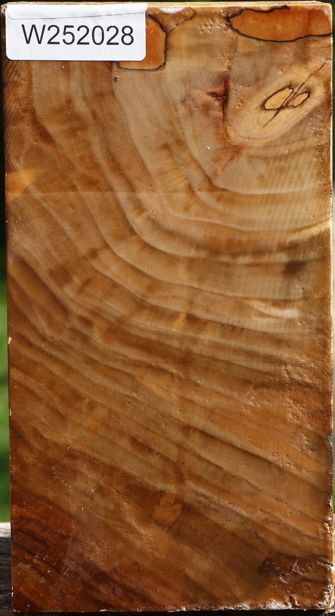 Figured California Cottonwood Vessel Blank