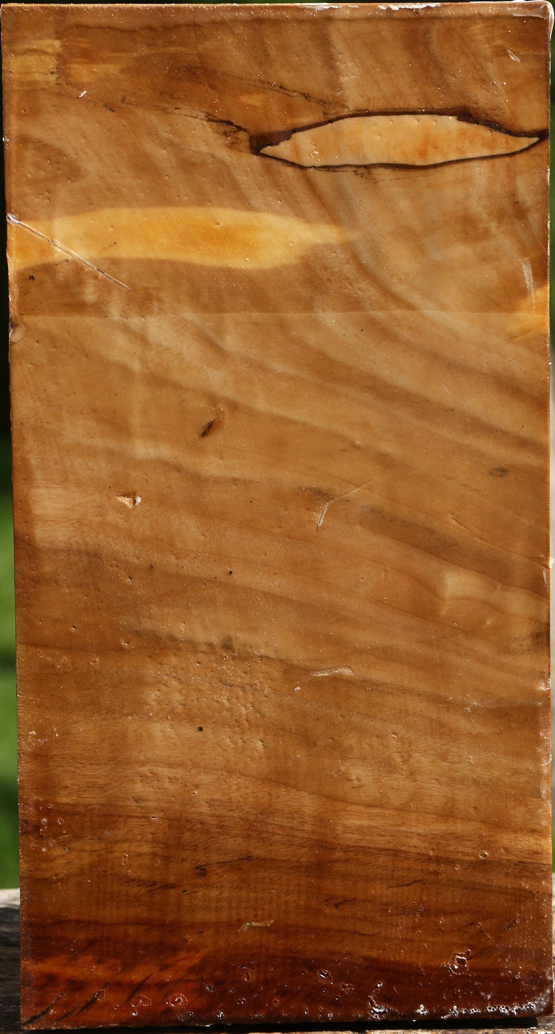 Figured California Cottonwood Vessel Blank