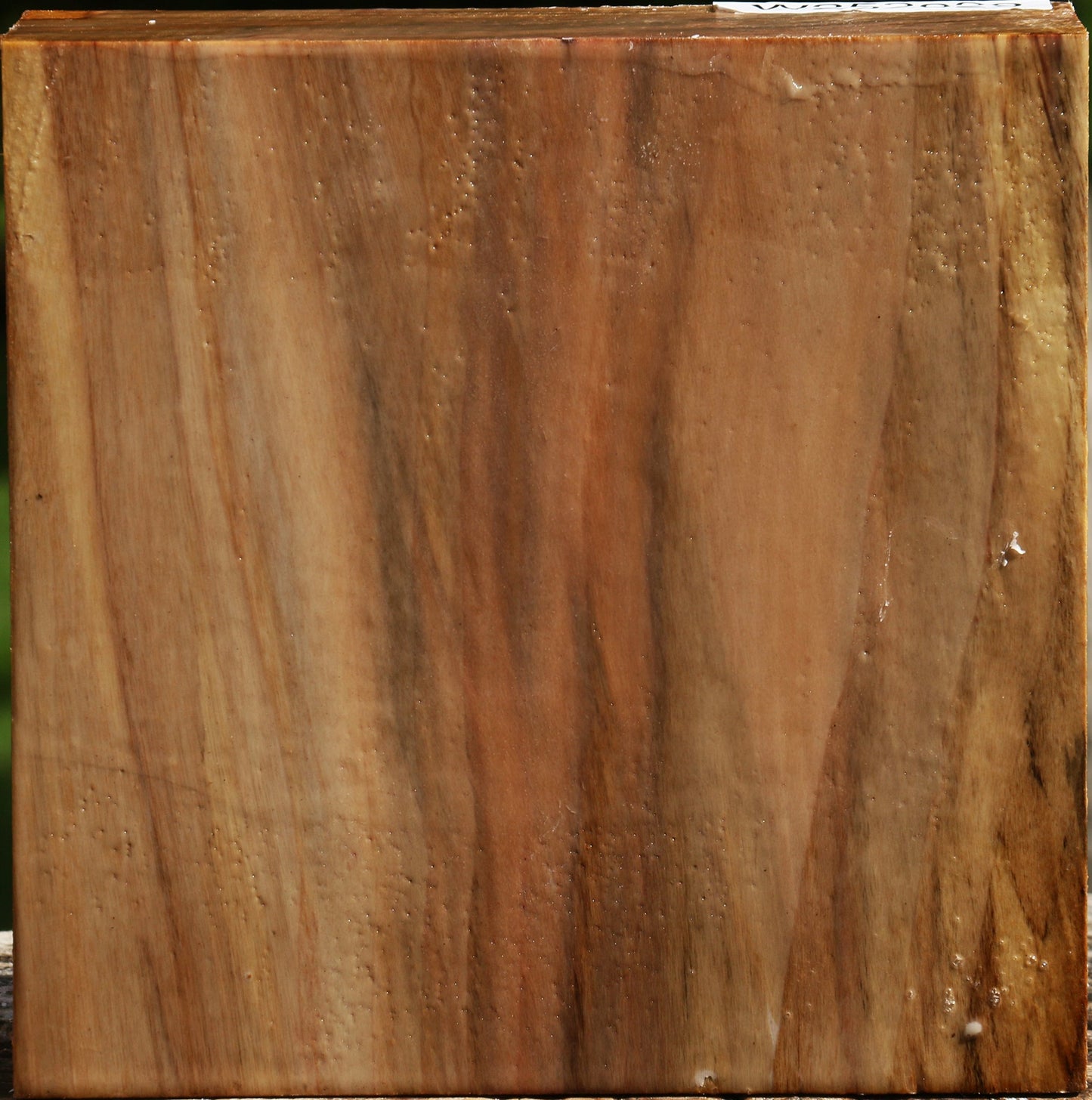 California Cottonwood Bowl Blank