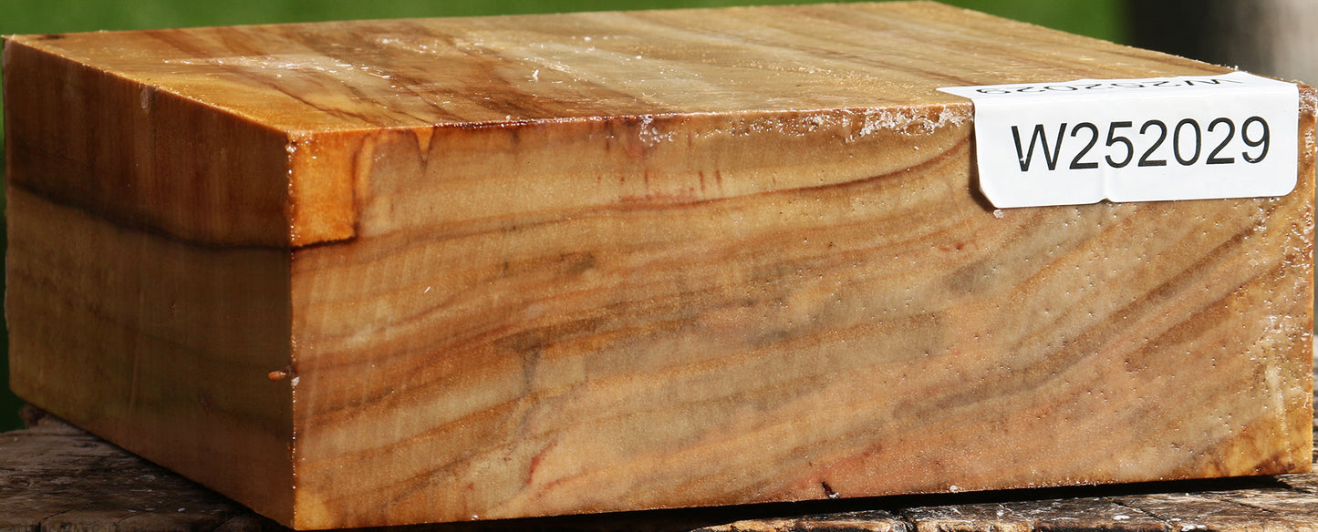 California Cottonwood Bowl Blank