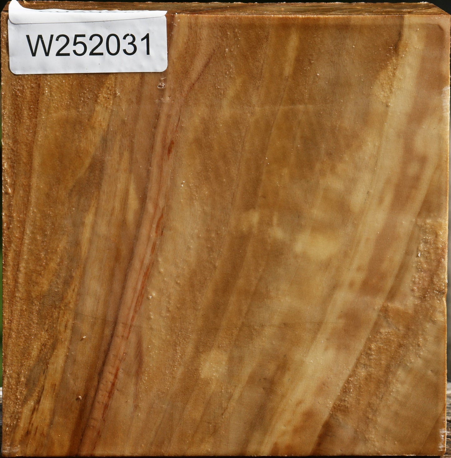 Figured California Cottonwood Bowl Blank
