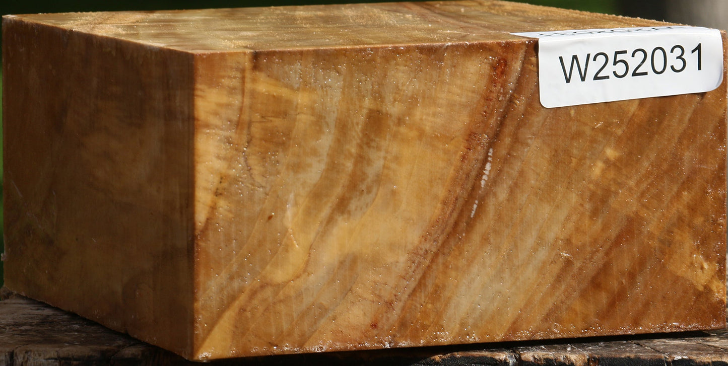 Figured California Cottonwood Bowl Blank