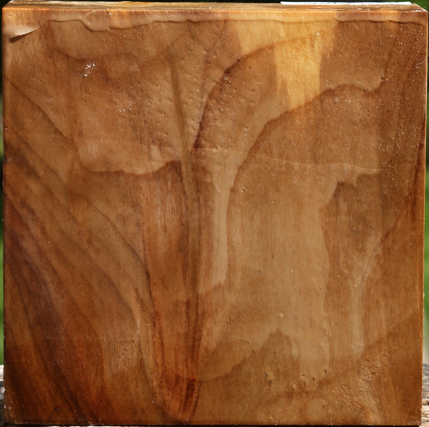 Figured California Cottonwood Bowl Blank
