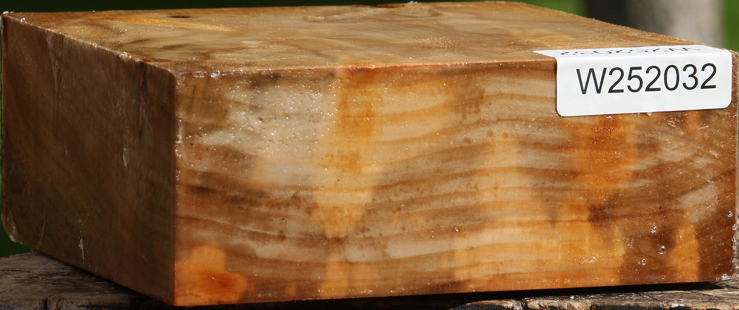 Figured California Cottonwood Bowl Blank