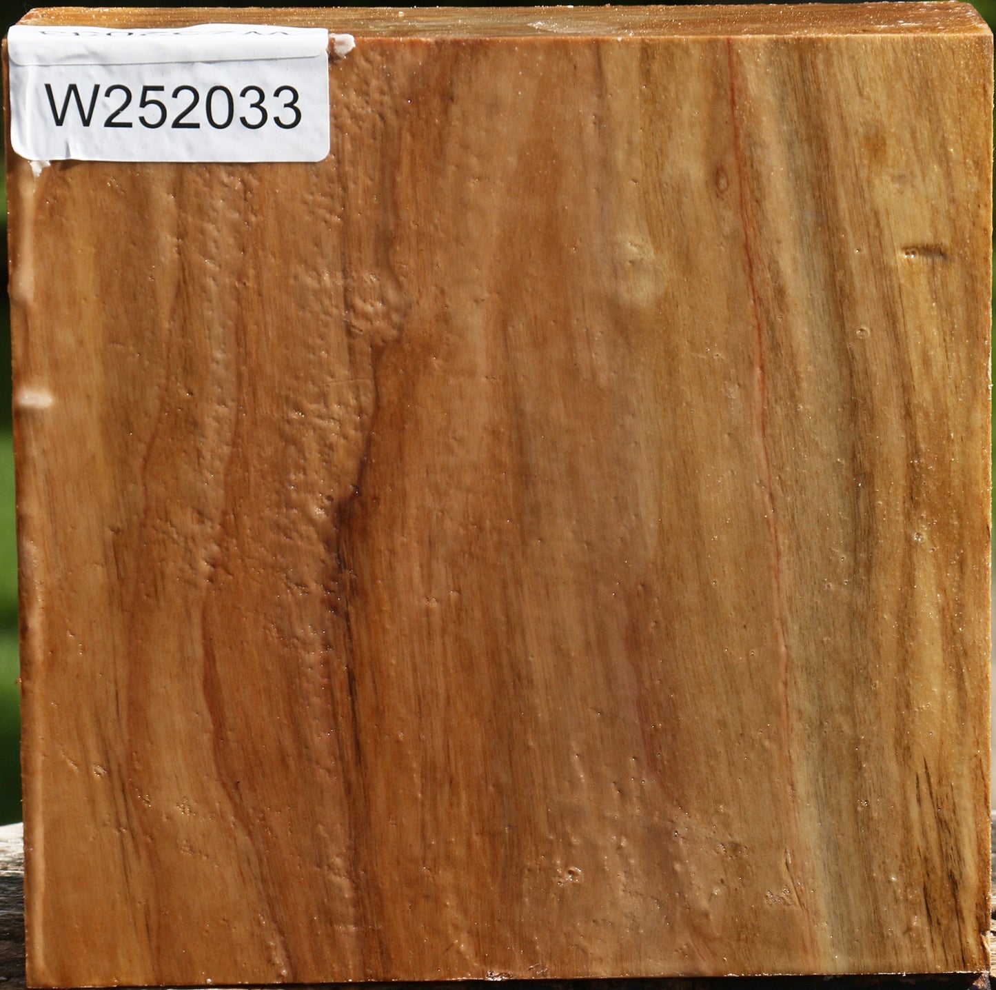 California Cottonwood Bowl Blank