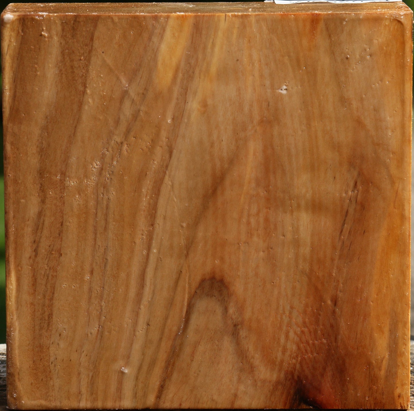 California Cottonwood Bowl Blank