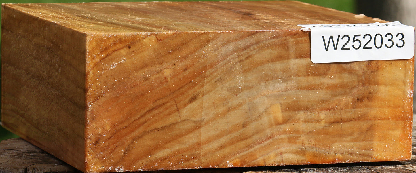 California Cottonwood Bowl Blank