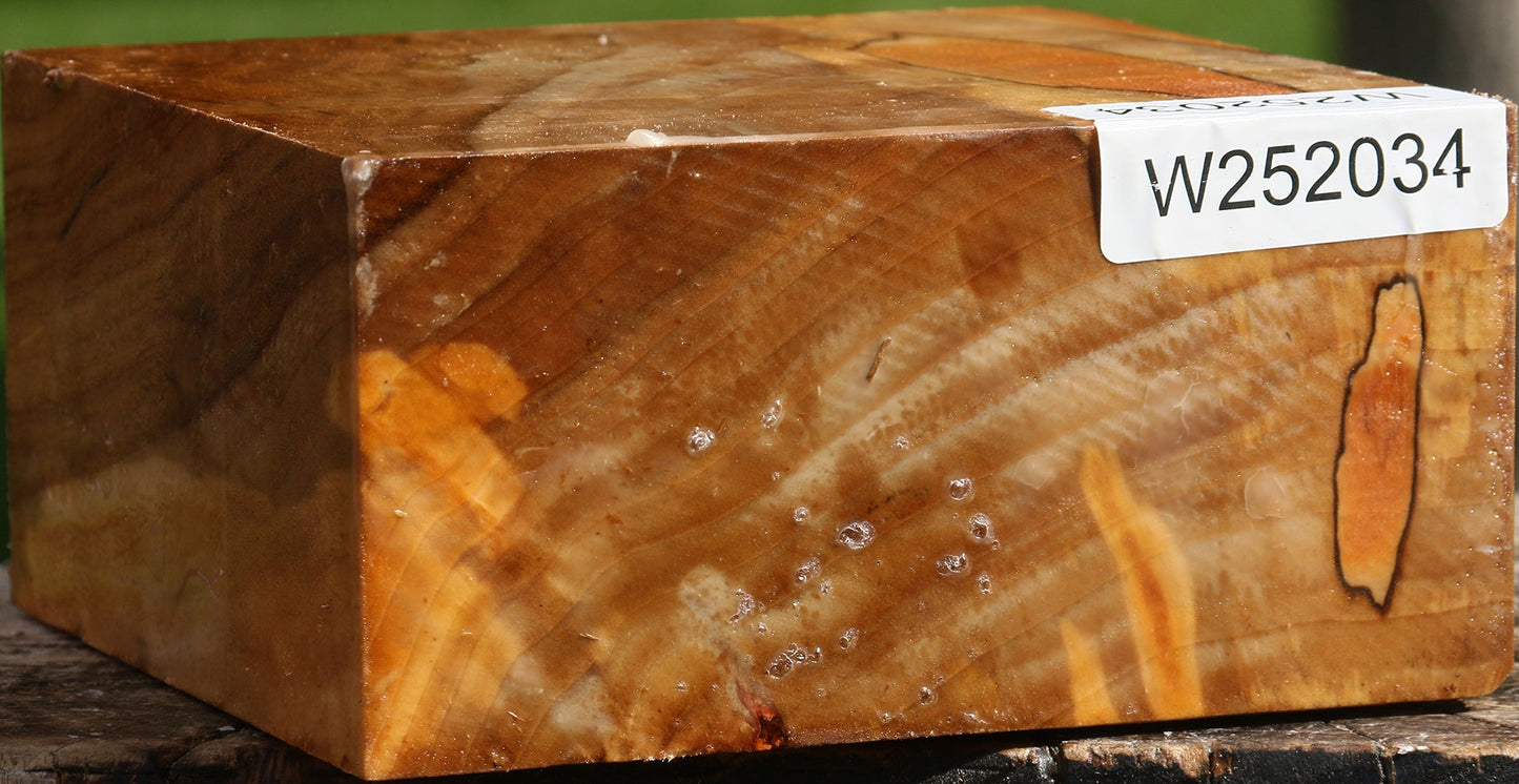 Figured California Cottonwood Bowl Blank
