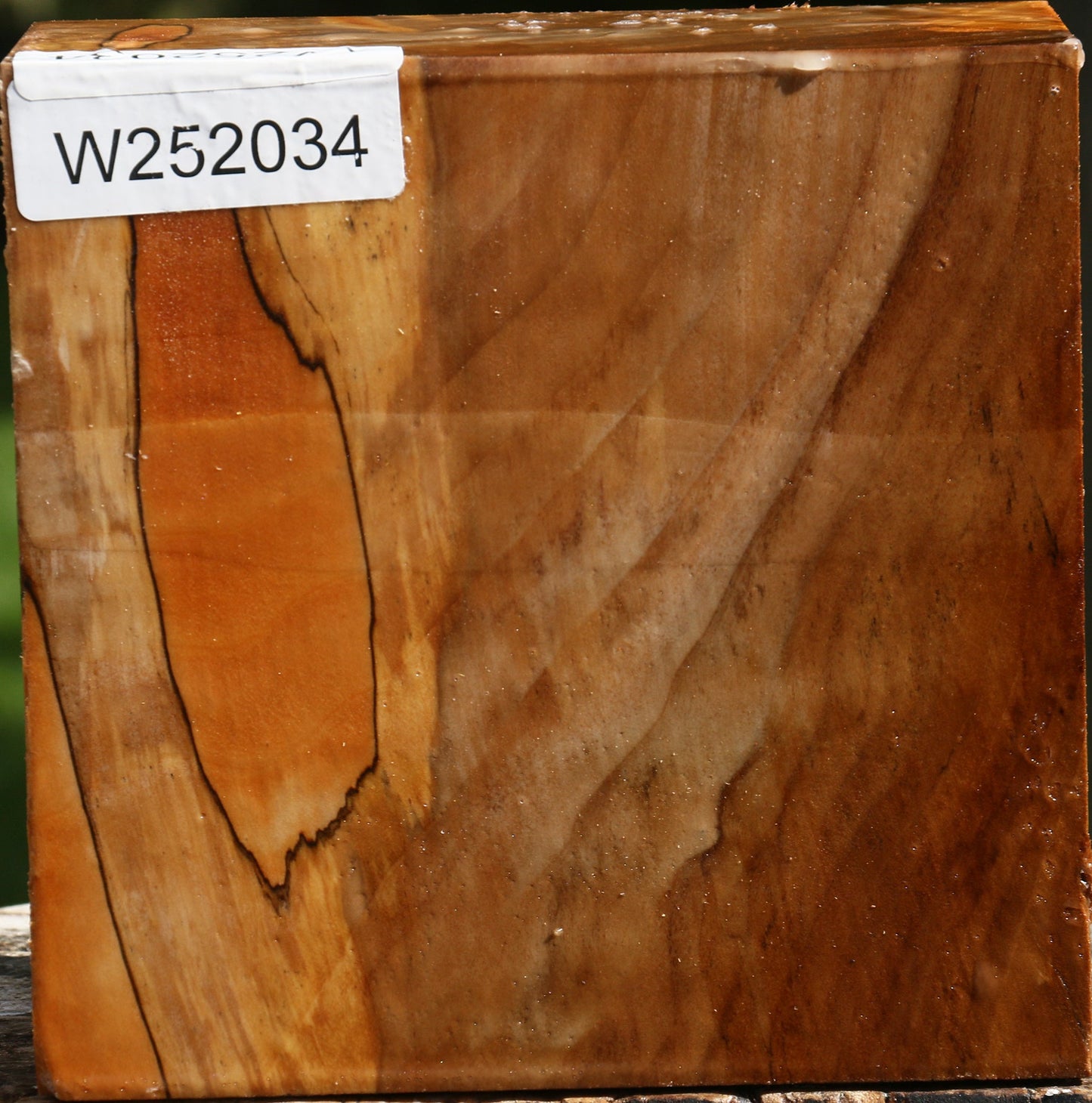 Figured California Cottonwood Bowl Blank