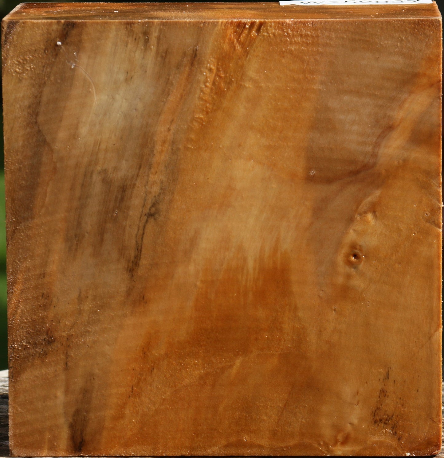 Figured California Cottonwood Bowl Blank